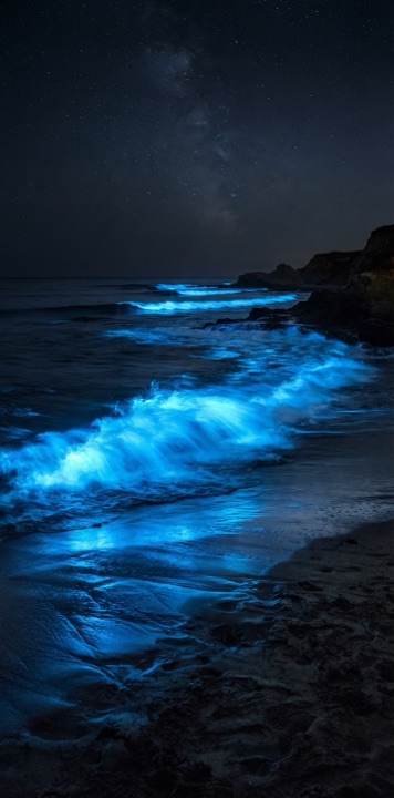 Example of the Bioluminescent Shore style
