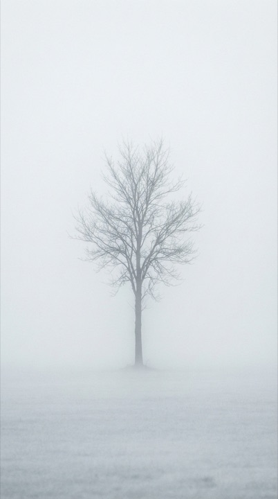 Example of the Dense Fog Isolation style