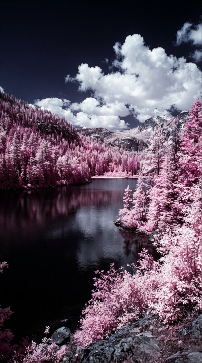 Example of the Infrared False Color style
