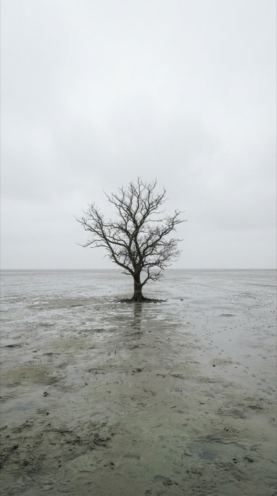 Example of the Overcast Flat Light style